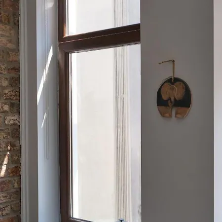 Sunflower * Istanbul